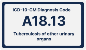 ICD-10-CM Diagnosis Code A18.13:Tuberculosis of other urinary organs